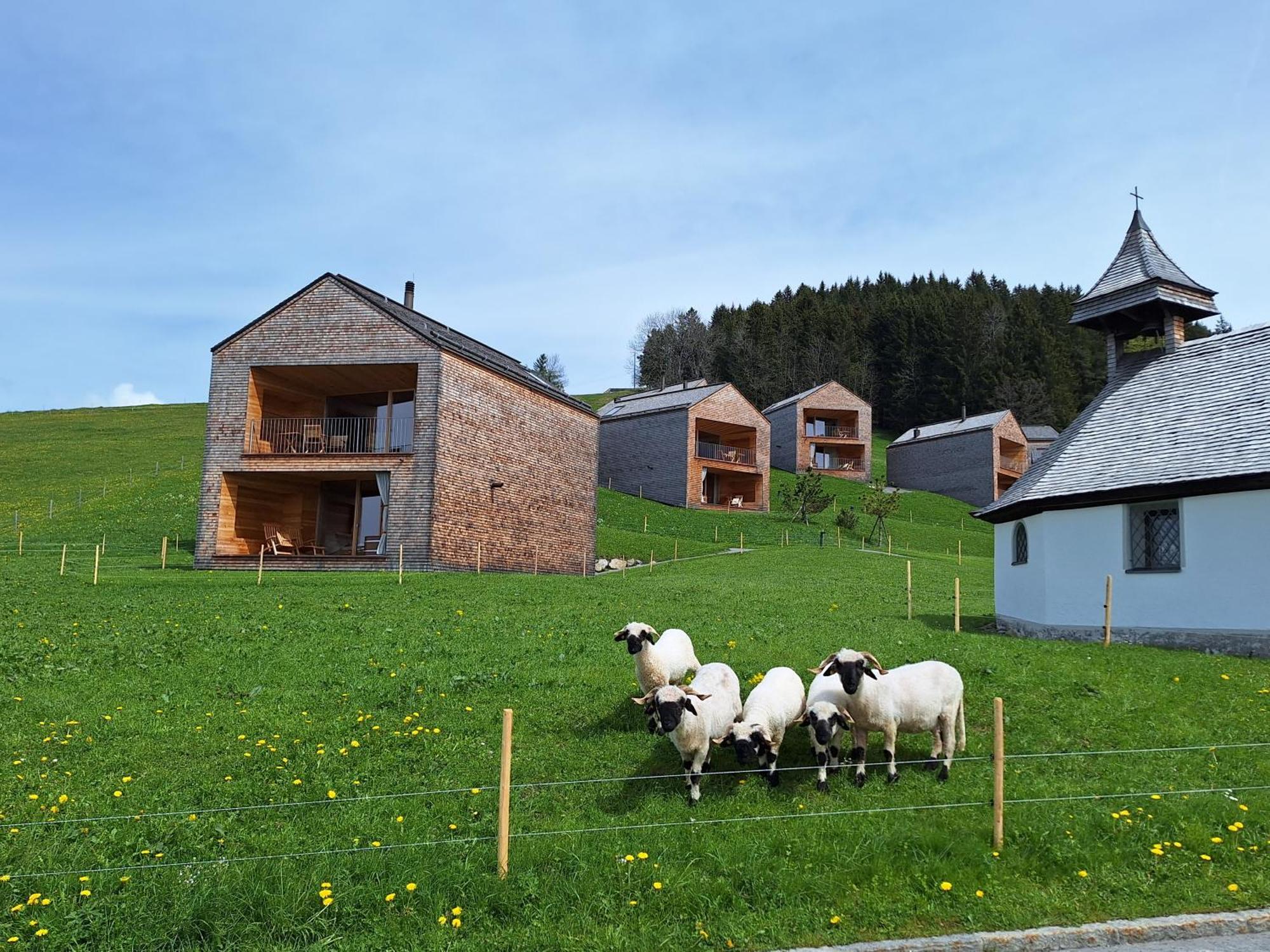 Rheintal Im Alpenvorland *