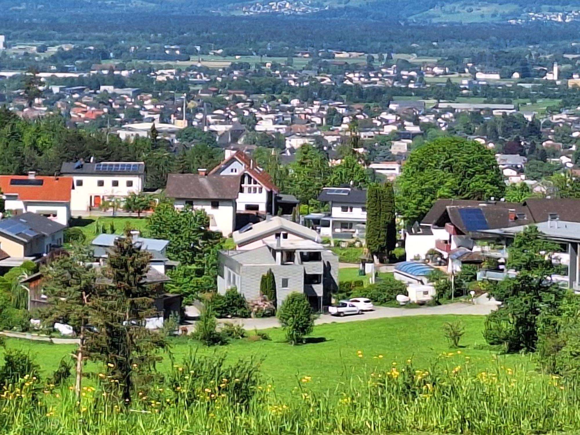 Rheintal Im Alpenvorland
