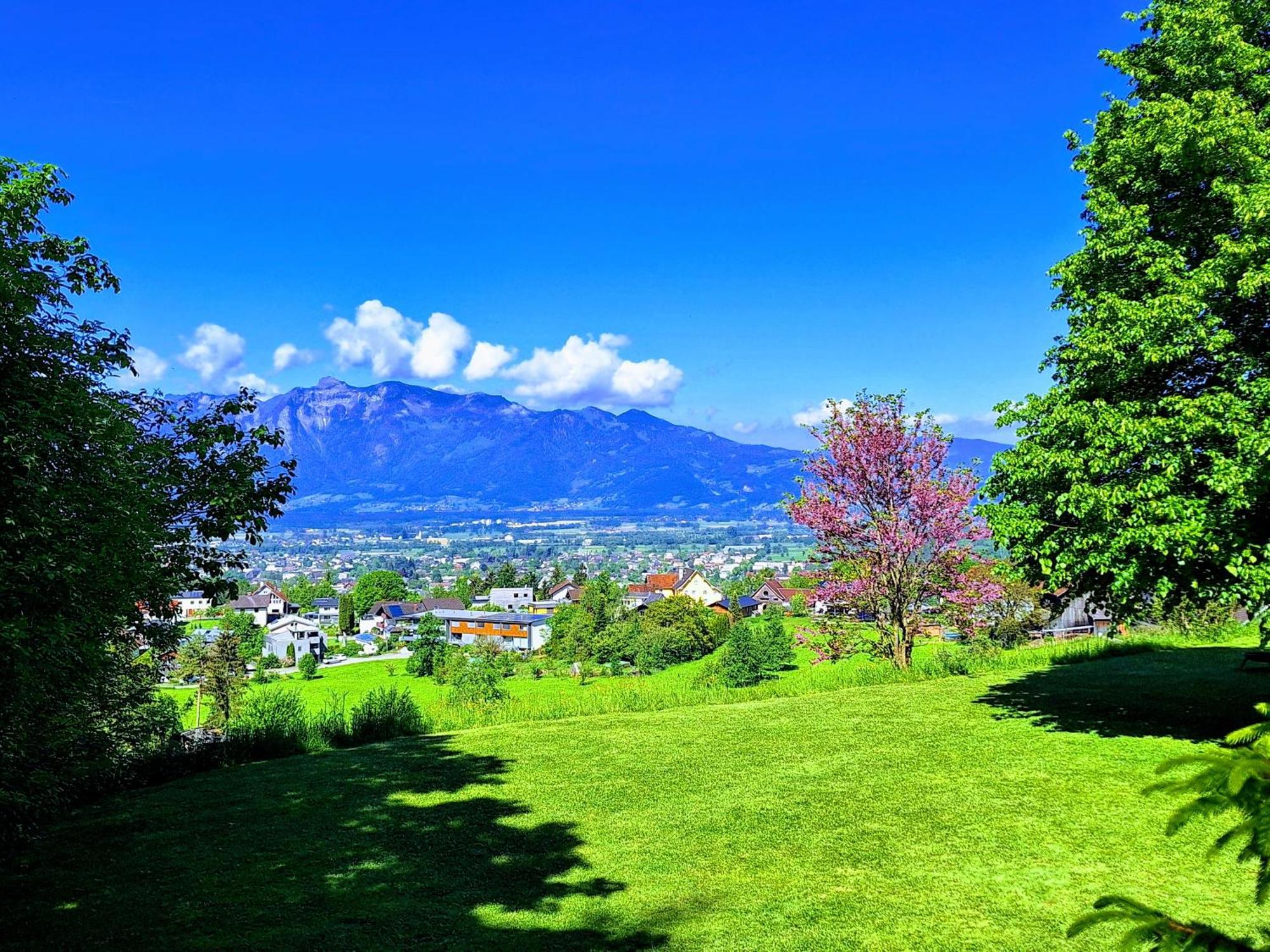 Rheintal Im Alpenvorland Batschuns