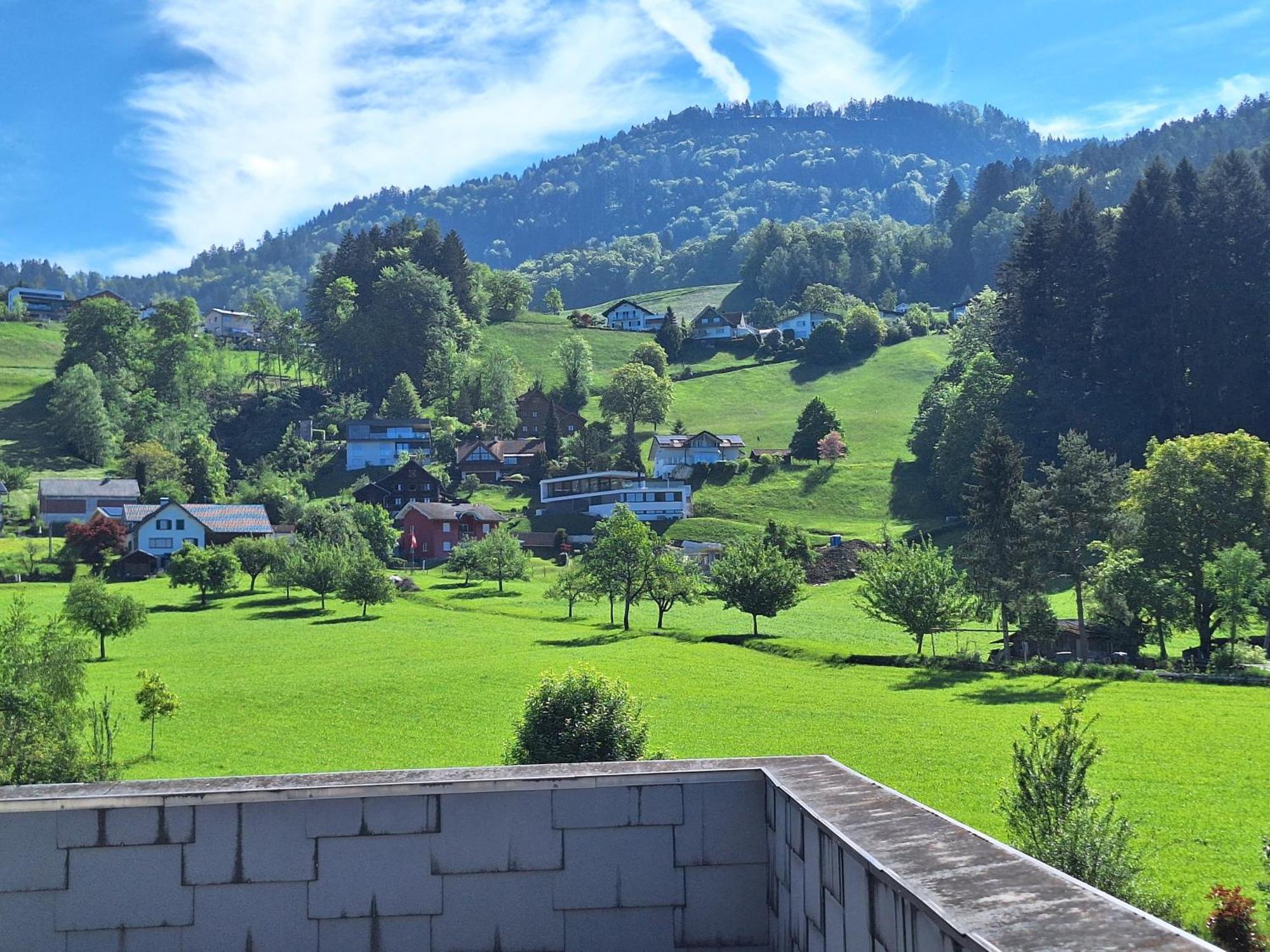 Rheintal Im Alpenvorland